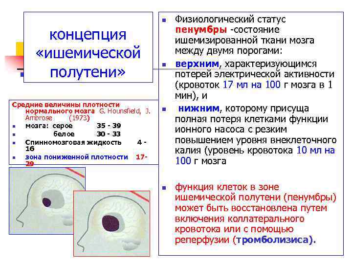 n концепция «ишемической полутени» Средние величины плотности нормального мозга G. Hounsfield, J. Ambrose (1973)