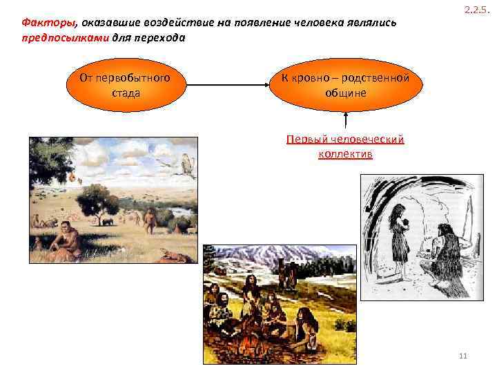 Факторы, оказавшие воздействие на появление человека являлись Факторы предпосылками для перехода От первобытного стада