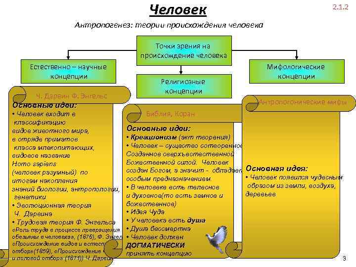 Человек 2. 1. 2 Антропогенез: теории происхождения человека Точки зрения на происхождение человека Естественно