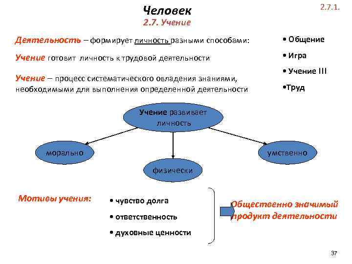 Человек 2. 7. 1. 2. 7. Учение Деятельность – формирует личность разными способами: личность