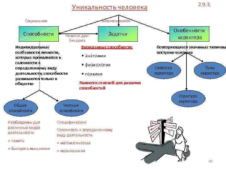 2. 9. 3. Уникальность человека Социальное Способности Биологическое Не могут друг без друга Индивидуальные