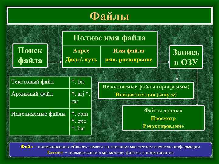 Файлы Полное имя файла Поиск файла Адрес Диск:  путь Текстовый файл *. txt