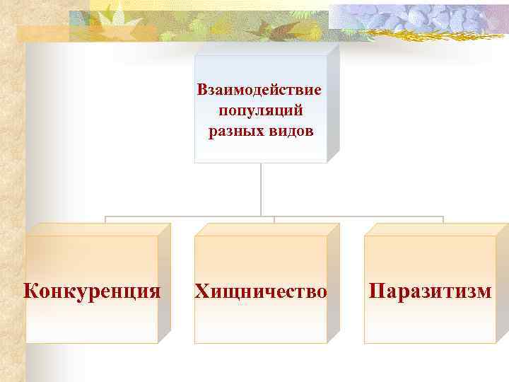 Типы взаимодействий популяций разных видов презентация 9 класс