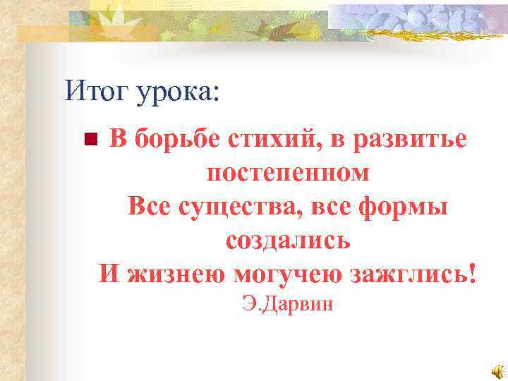 Итог урока: В борьбе стихий, в развитье постепенном Все существа, все формы создались И