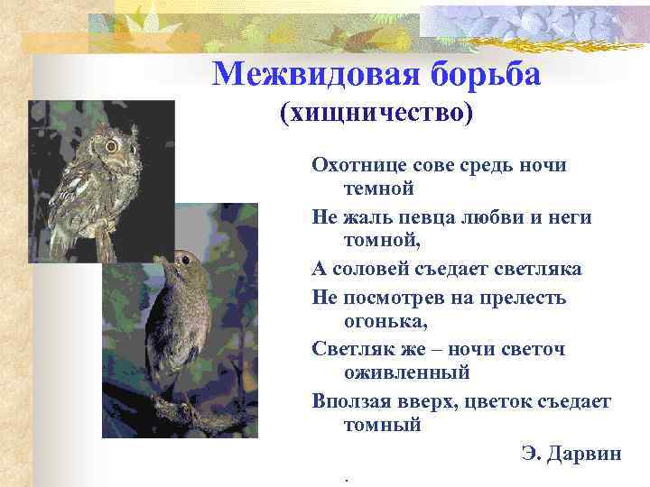 Межвидовая борьба (хищничество) Охотнице сове средь ночи темной Не жаль певца любви и неги