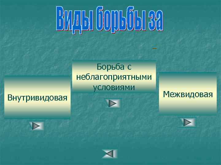 Борьба с неблагоприятными условиями Внутривидовая Межвидовая 