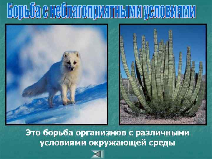 Это борьба организмов с различными условиями окружающей среды 