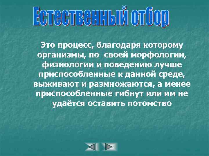 Это процесс, благодаря которому организмы, по своей морфологии, физиологии и поведению лучше приспособленные к