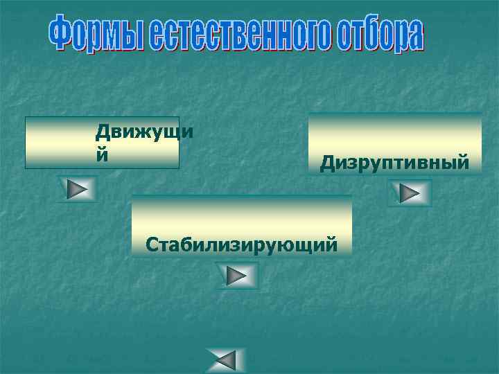 Движущи й Дизруптивный Стабилизирующий 