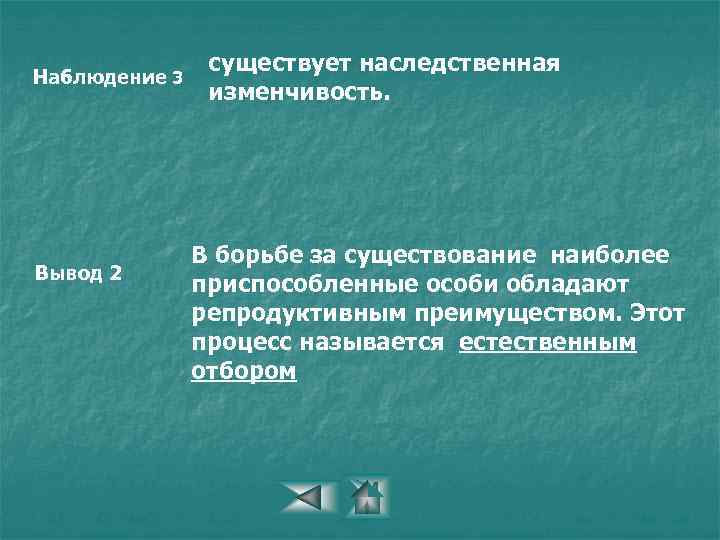 Наблюдение 3 Вывод 2 существует наследственная изменчивость. В борьбе за существование наиболее приспособленные особи