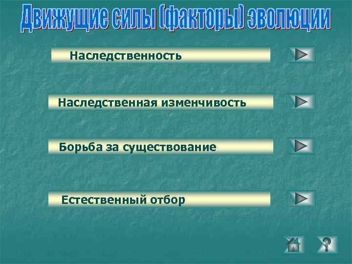 Наследственность Наследственная изменчивость Борьба за существование Естественный отбор 