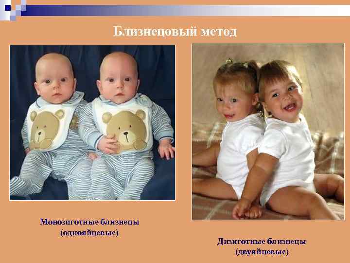 Близнецовый метод Монозиготные близнецы (однояйцевые) Дизиготные близнецы (двуяйцевые) 