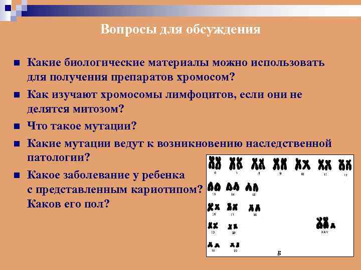 Вопросы для обсуждения n n n Какие биологические материалы можно использовать для получения препаратов