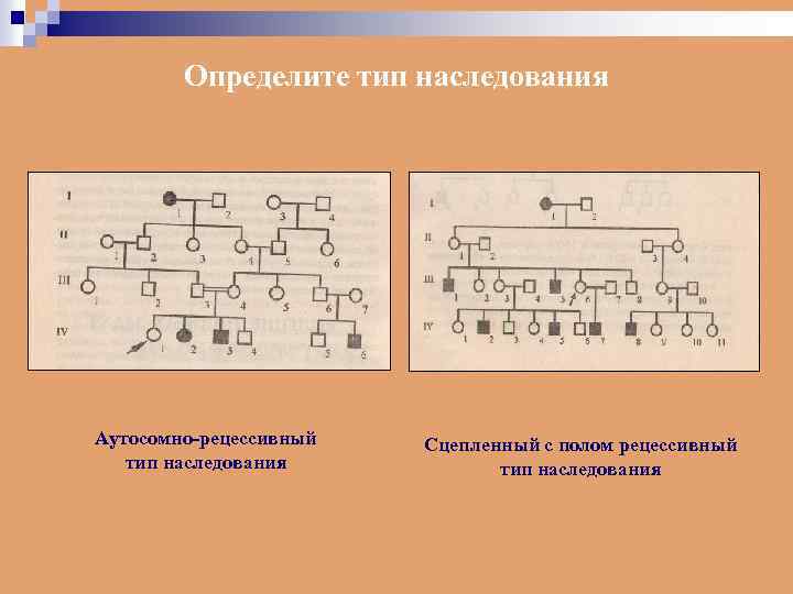 Определите тип наследования Аутосомно-рецессивный тип наследования Сцепленный с полом рецессивный тип наследования 