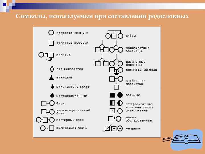Символы, используемые при составлении родословных 