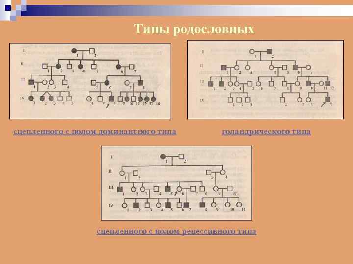 Типы родословных сцепленного с полом доминантного типа голандрического типа сцепленного с полом рецессивного типа