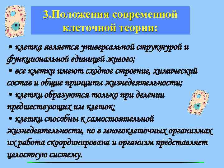 3. Положения современной клеточной теории: • клетка является универсальной структурой и функциональной единицей живого;