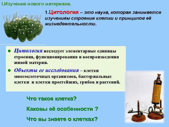 I. Изучение нового материала. 1. Цитология – это наука, которая занимается изучением строения клетки