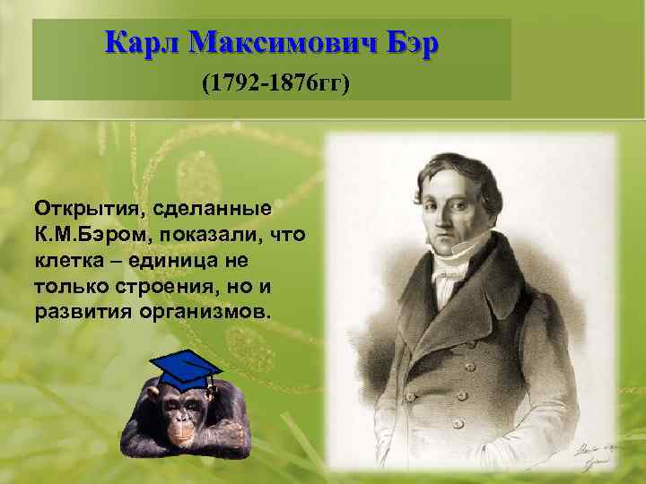 Карл Максимович Бэр (1792 -1876 гг) Открытия, сделанные К. М. Бэром, показали, что клетка