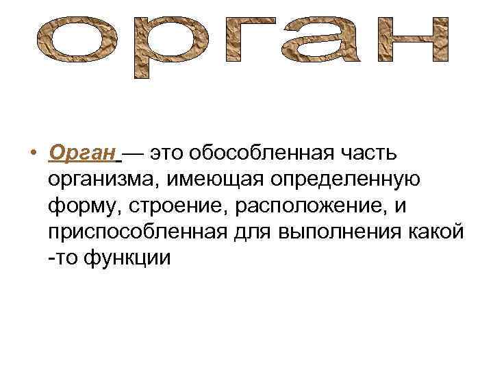  • Орган — это обособленная часть организма, имеющая определенную форму, строение, расположение, и