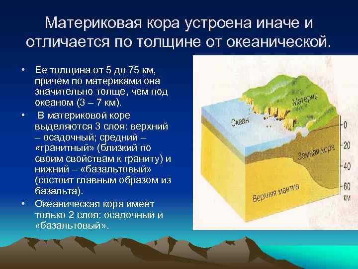 Материковая кора устроена иначе и отличается по толщине от океанической. • Ее толщина от