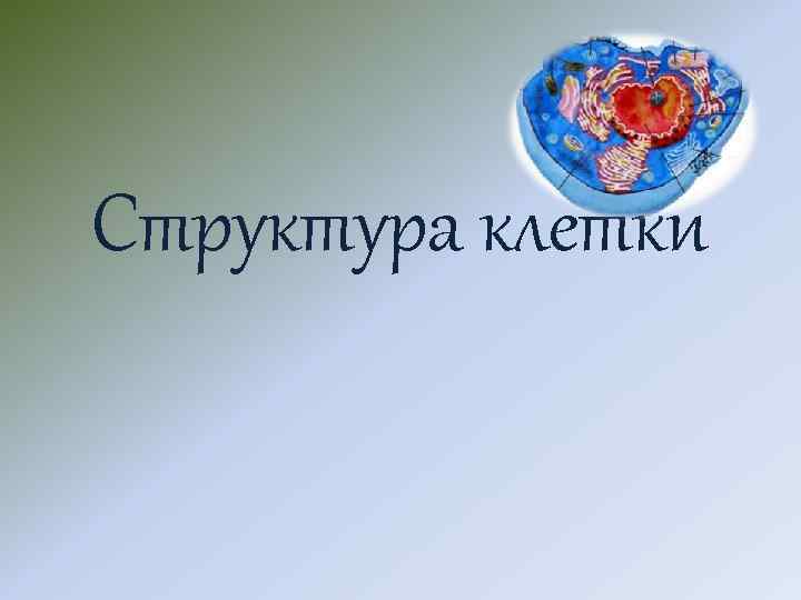 Структура клетки 