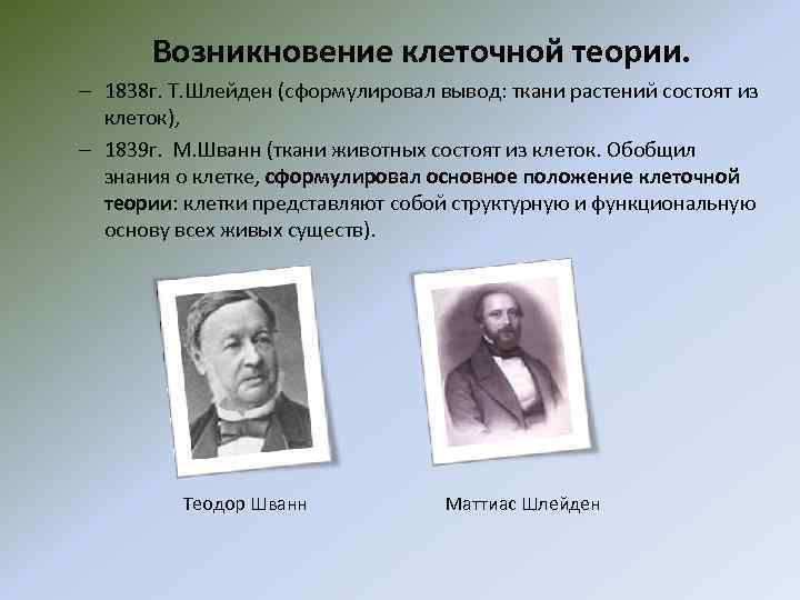 Возникновение клеточной теории. – 1838 г. Т. Шлейден (сформулировал вывод: ткани растений состоят