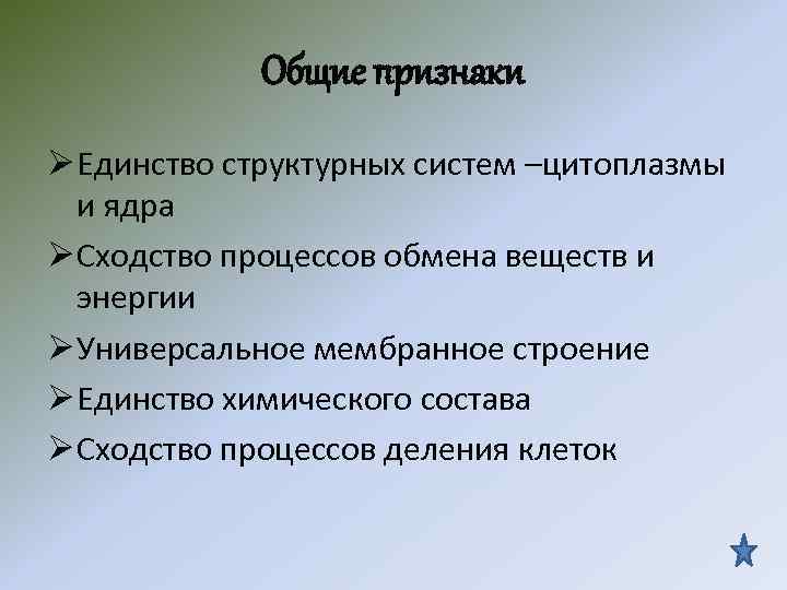 Общие признаки Ø Единство структурных систем –цитоплазмы и ядра Ø Сходство процессов обмена веществ