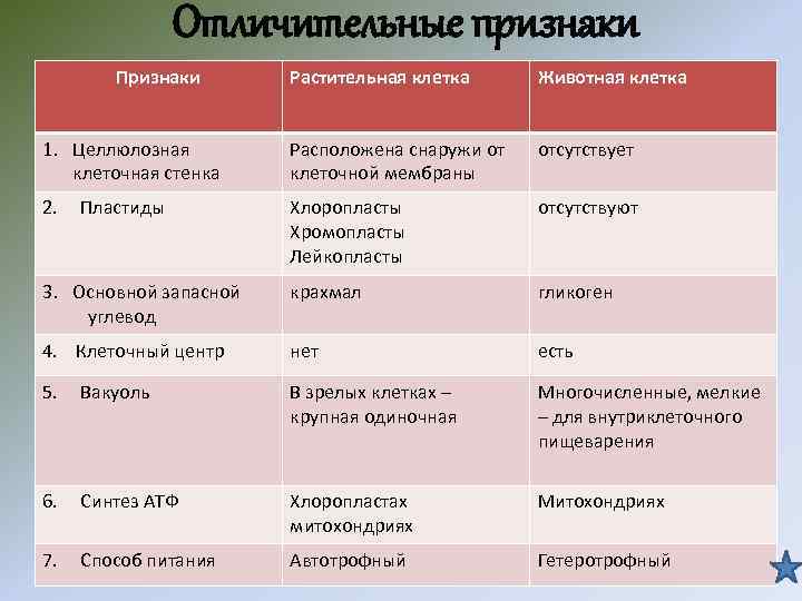 Отличительные признаки Признаки Растительная клетка Животная клетка 1. Целлюлозная клеточная стенка Расположена снаружи от
