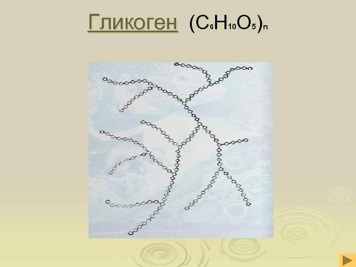 Гликоген (С Н О ) 6 10 5 n 