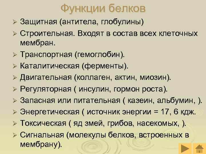 Функции белков Защитная (антитела, глобулины) Ø Строительная. Входят в состав всех клеточных мембран. Ø