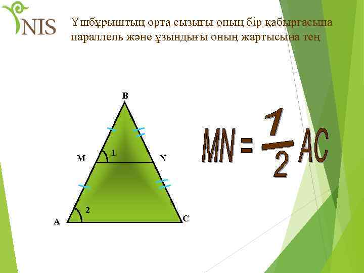 Үшбұрыштың орта сызығы оның бір қабырғасына параллель және ұзындығы оның жартысына тең В 1