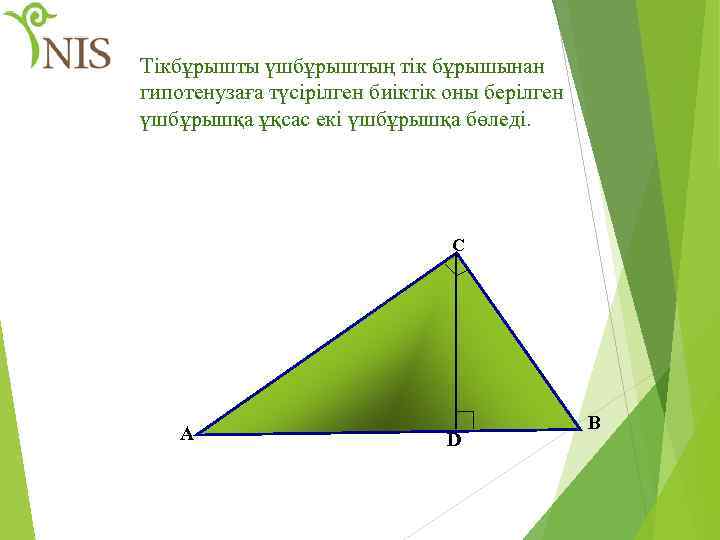 Тікбұрышты үшбұрыштың тік бұрышынан гипотенузаға түсірілген биіктік оны берілген үшбұрышқа ұқсас екі үшбұрышқа бөледі.