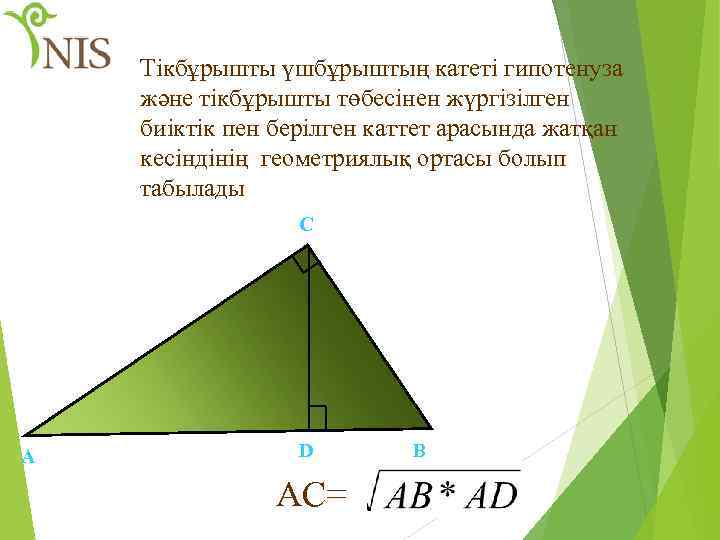 Тікбұрышты үшбұрыштың катеті гипотенуза және тікбұрышты төбесінен жүргізілген биіктік пен берілген каттет арасында жатқан