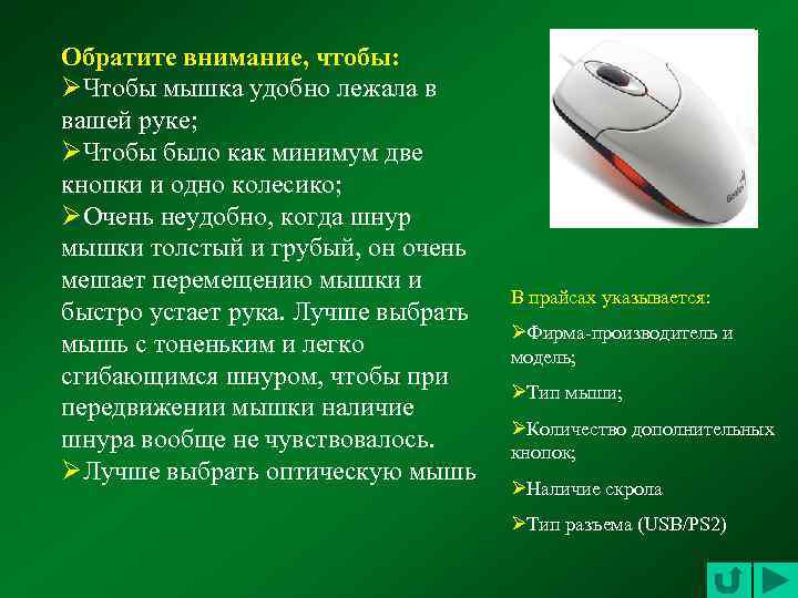 Обратите внимание, чтобы: ØЧтобы мышка удобно лежала в вашей руке; ØЧтобы было как минимум