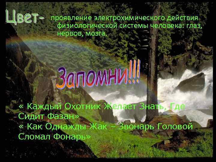 проявление электрохимического действия физиологической системы человека: глаз, нервов, мозга. « Каждый Охотник Желает Знать,