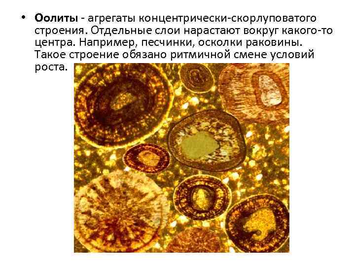  • Оолиты - агрегаты концентрически-скорлуповатого строения. Отдельные слои нарастают вокруг какого-то центра. Например,