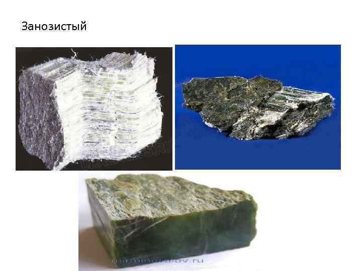 Занозистый 