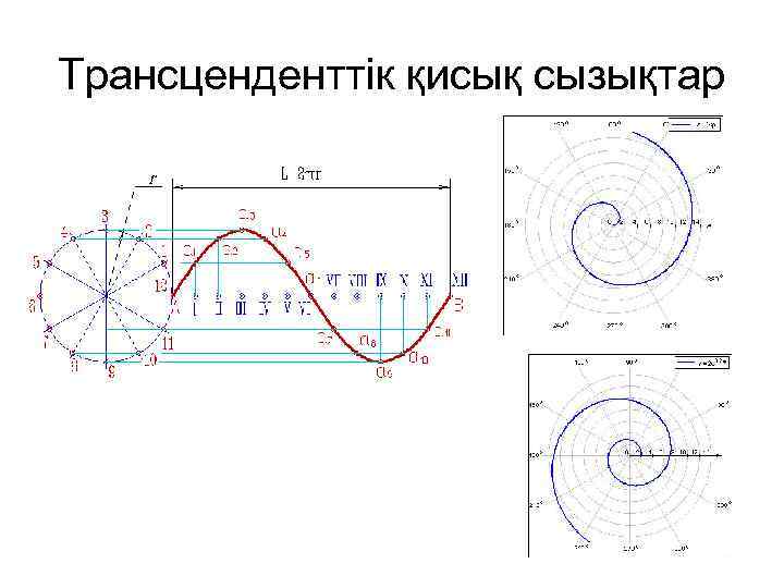 Трансценденттік қисық сызықтар 