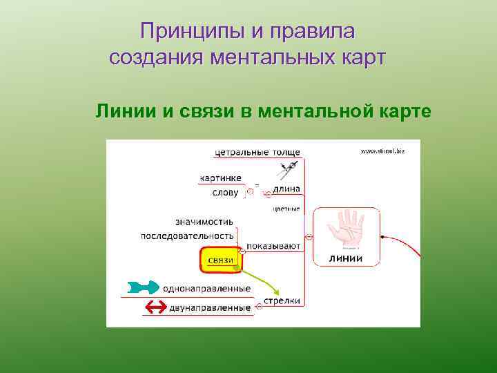 Принципы и правила создания ментальных карт Линии и связи в ментальной карте 