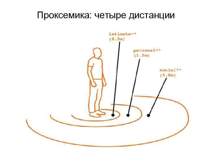Проксемика: четыре дистанции 