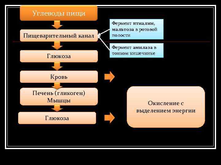 Углеводы пищи Пищеварительный канал Глюкоза Фермент птиалин, мальтоза в ротовой полости Фермент амилаза в
