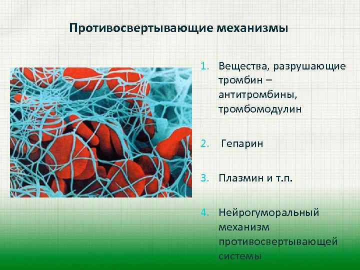 Противосвертывающие механизмы 1. Вещества, разрушающие тромбин – антитромбины, тромбомодулин 2. Гепарин 3. Плазмин и