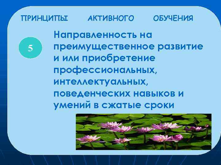 ПРИНЦИПЫ 5 АКТИВНОГО ОБУЧЕНИЯ Направленность на преимущественное развитие и или приобретение профессиональных, интеллектуальных, поведенческих