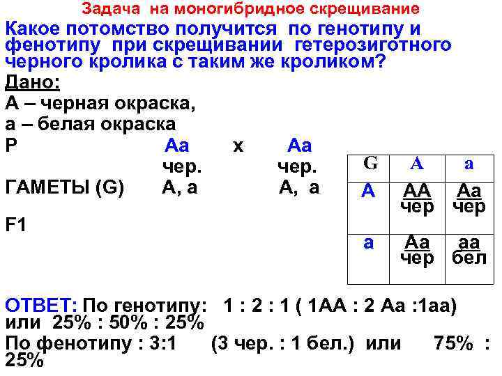 Задачи по генетике схемы