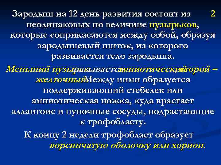 Зародыш на 12 день развития состоит из 2 неодинаковых по величине пузырьков, которые соприкасаются