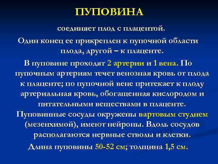 ПУПОВИНА соединяет плод с плацентой. Один конец ее прикреплен к пупочной области плода, другой