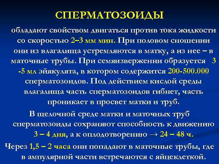 СПЕРМАТОЗОИДЫ обладают свойством двигаться против тока жидкости со скоростью 2– 3 мм мин. При