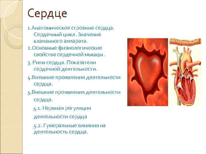Сердце 1. Анатомическое строение сердца. Сердечный цикл. Значение клапанного аппарата. 2. Основные физиологические свойства