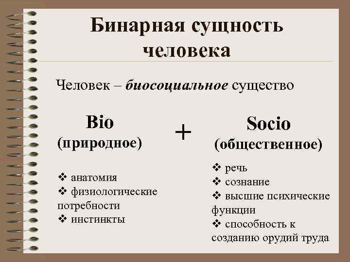 Бинарная сущность человека Человек – биосоциальное существо Bio (природное) v анатомия v физиологические потребности